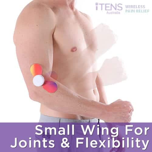 Small Wing For Joints and Flexibility